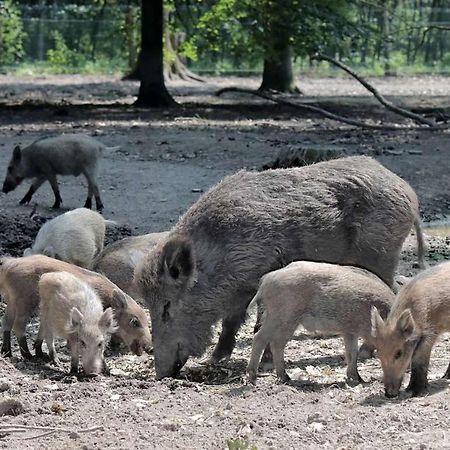 Wohlfuhloase - Ganzes Haus Mit 2 Schlafzimmern Moers Buitenkant foto